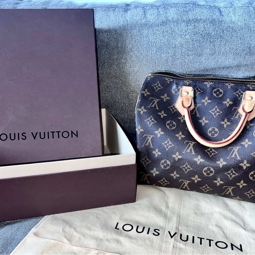 Louis Vuitton Monogram Brown Handbag